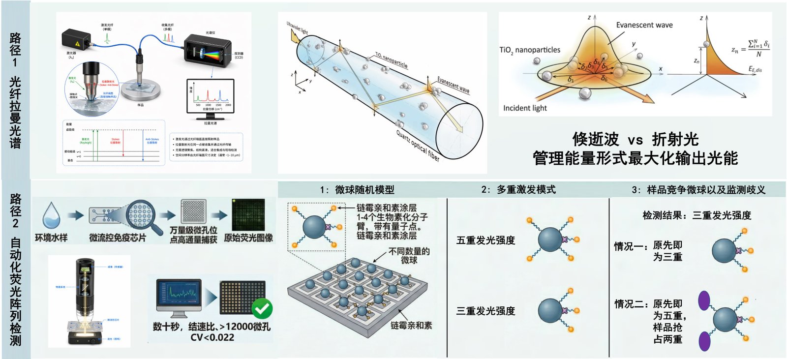两条光学检测路线总览：光纤拉曼光谱 + 自动化荧光阵列检测